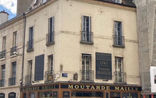 DIJON – PLEIN CENTRE VILLE